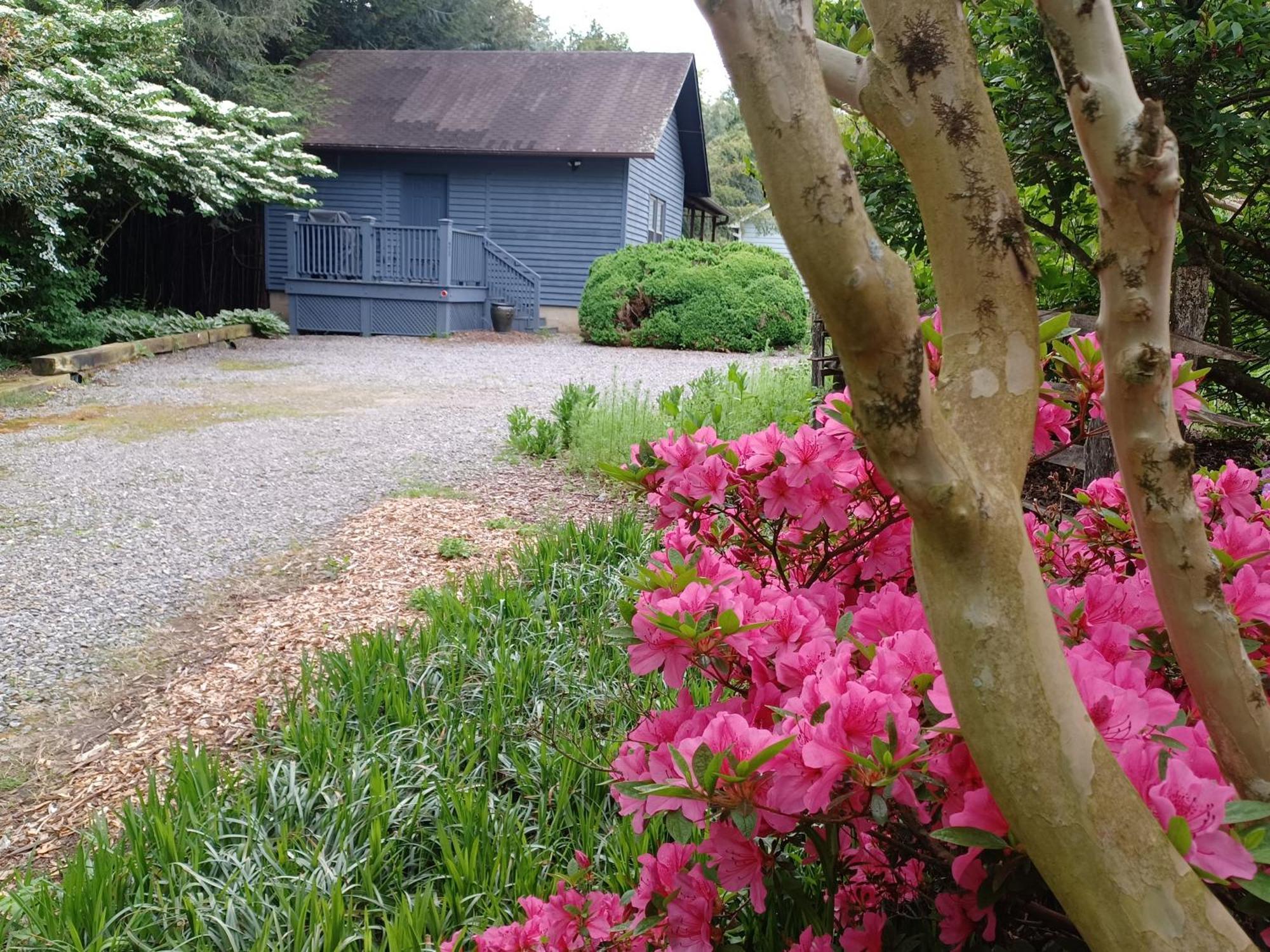 Restored1850S Log Cabin, With Gazebo And Gardens! 1 Mile To Downtown Weaverville Екстериор снимка