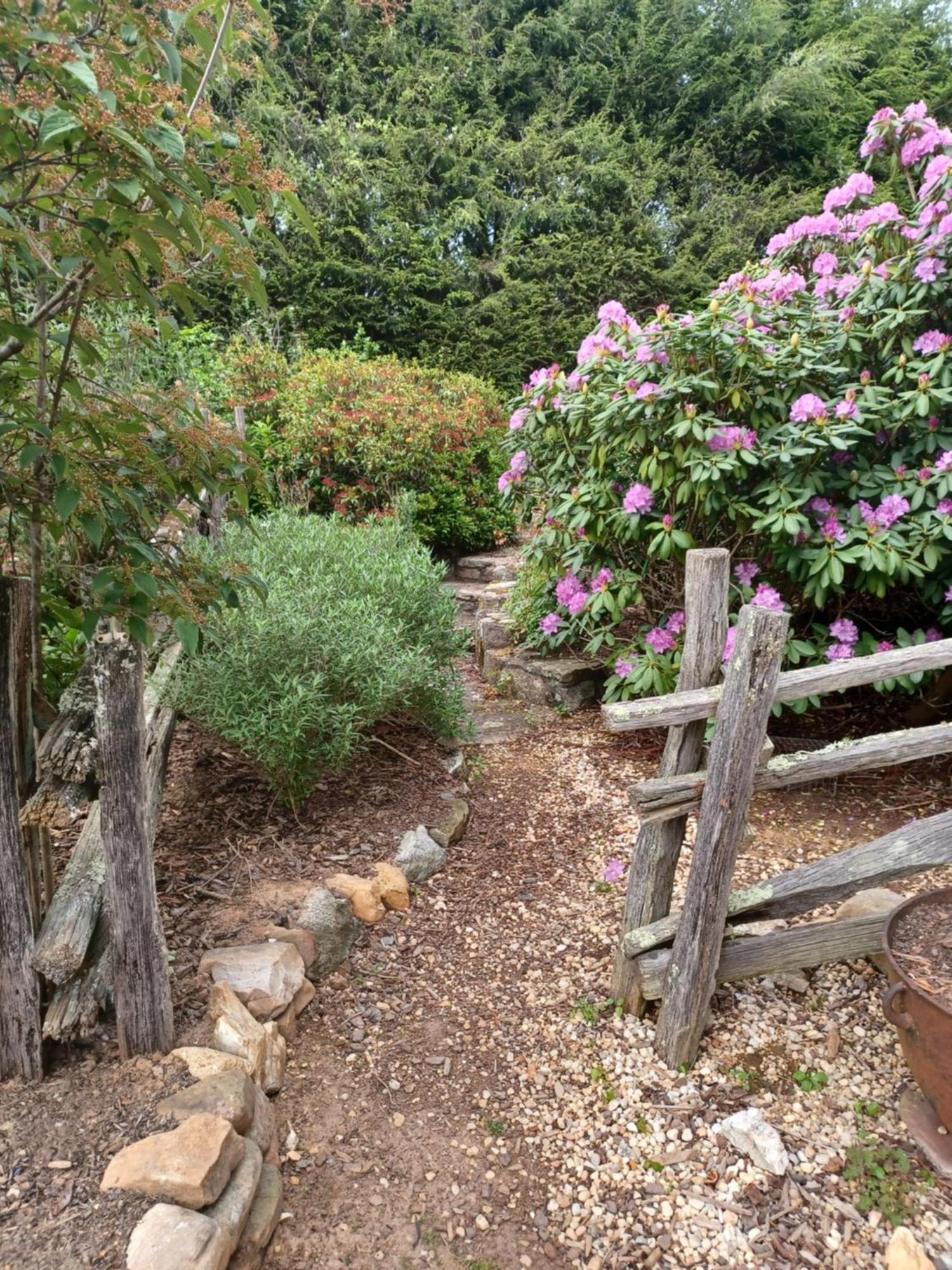 Restored1850S Log Cabin, With Gazebo And Gardens! 1 Mile To Downtown Weaverville Екстериор снимка