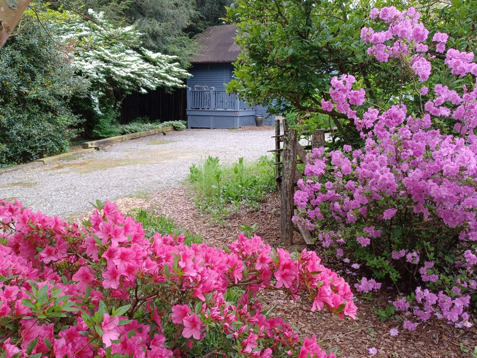 Restored1850S Log Cabin, With Gazebo And Gardens! 1 Mile To Downtown Weaverville Екстериор снимка