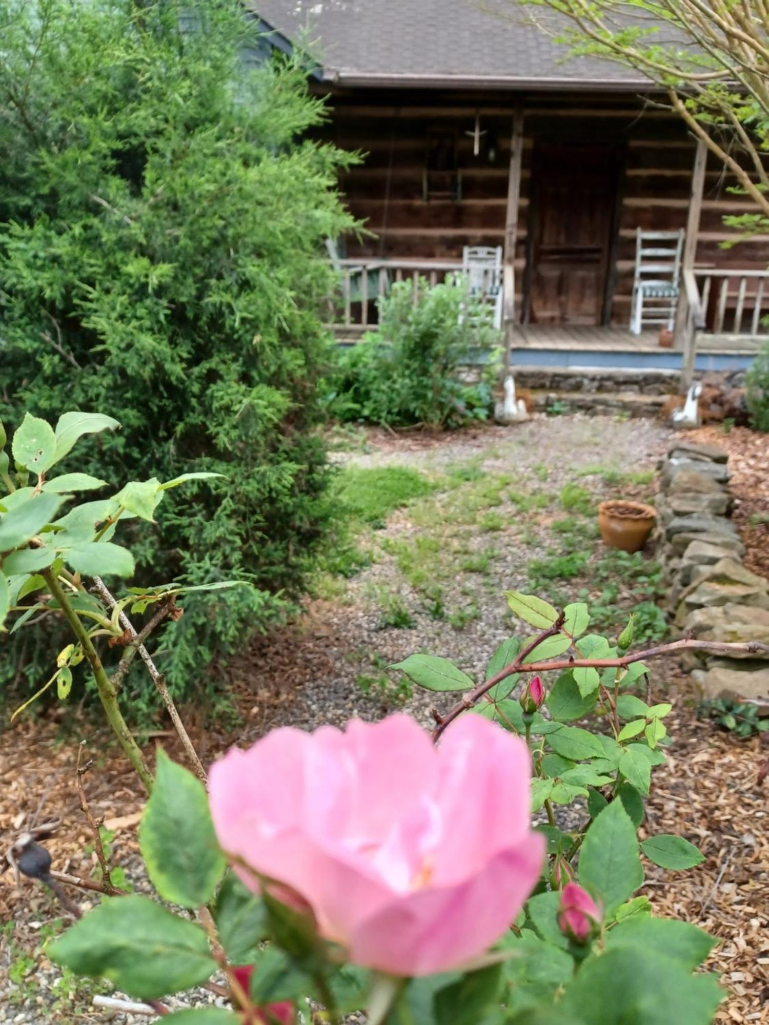 Restored1850S Log Cabin, With Gazebo And Gardens! 1 Mile To Downtown Weaverville Екстериор снимка
