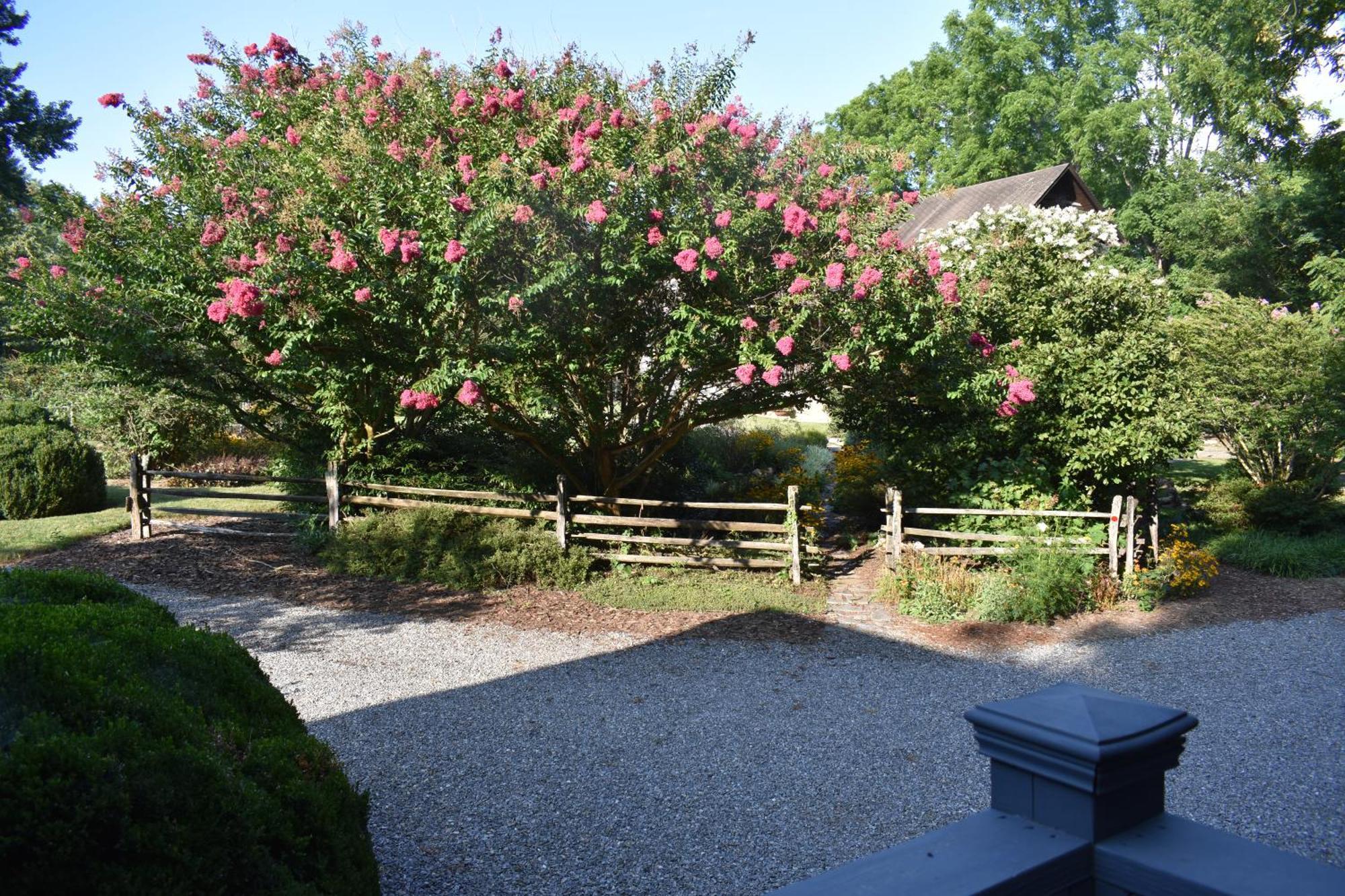 Restored1850S Log Cabin, With Gazebo And Gardens! 1 Mile To Downtown Weaverville Екстериор снимка