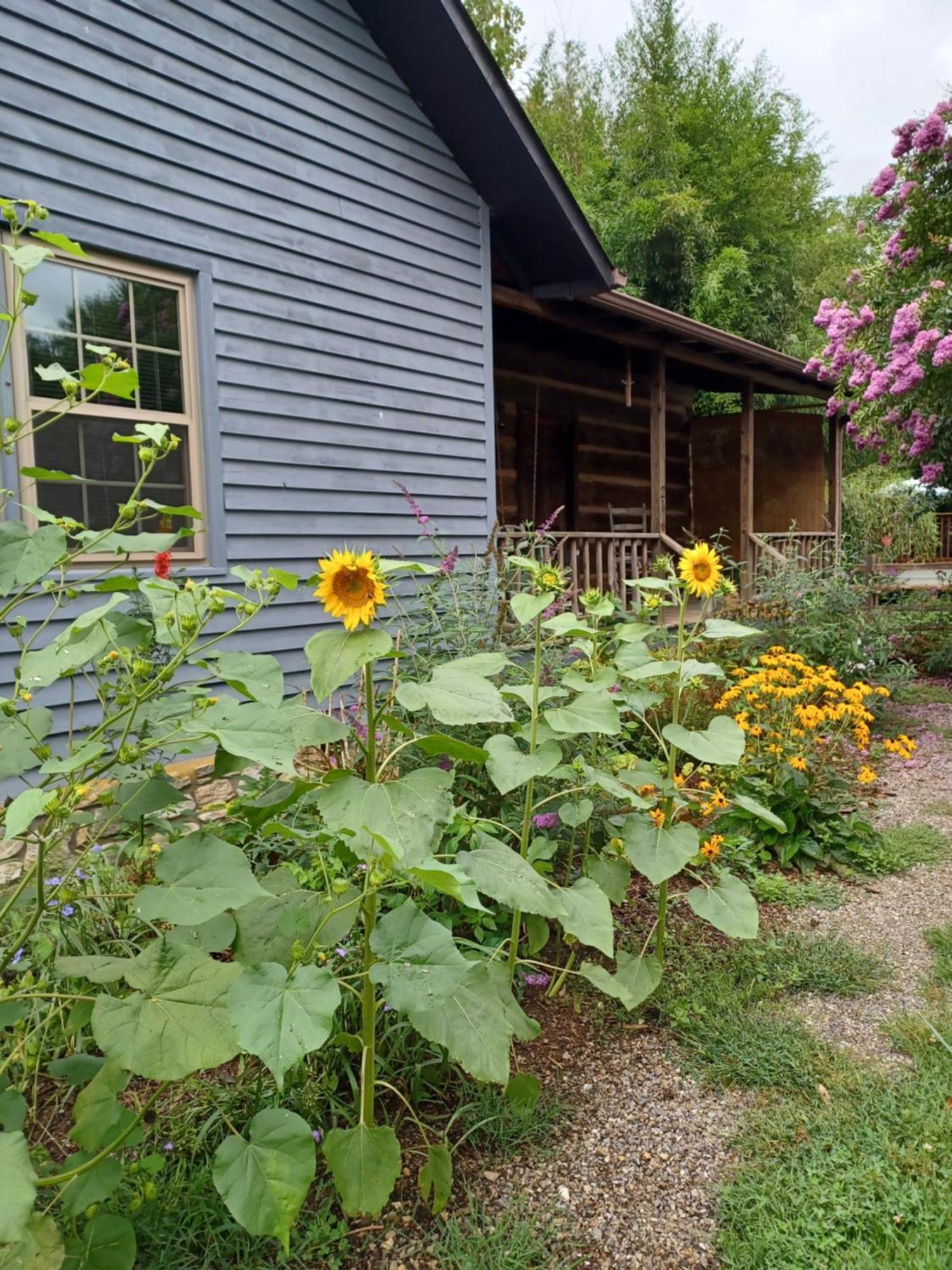 Restored1850S Log Cabin, With Gazebo And Gardens! 1 Mile To Downtown Weaverville Екстериор снимка